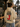 THIS LIFE HAS BEEN RATED J™ — HOODIE